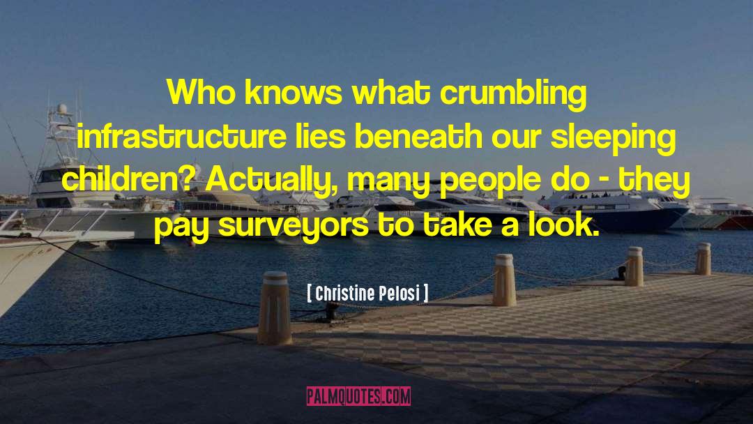 Surveyors quotes by Christine Pelosi