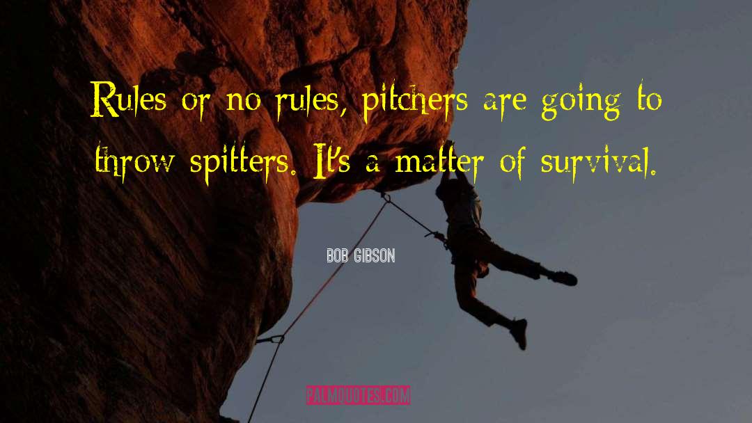 Survival Mode quotes by Bob Gibson