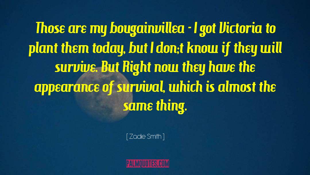 Survival Of The Sickest quotes by Zadie Smith