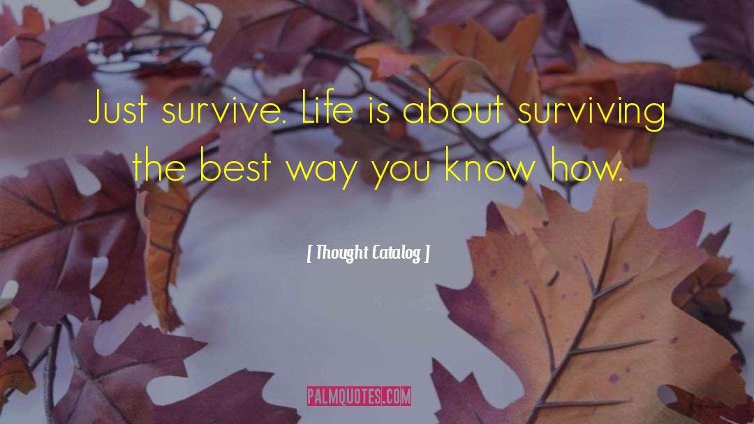 Survive Life quotes by Thought Catalog