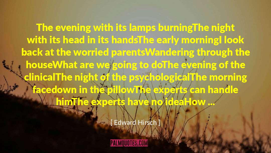 Surviving Darkness quotes by Edward Hirsch