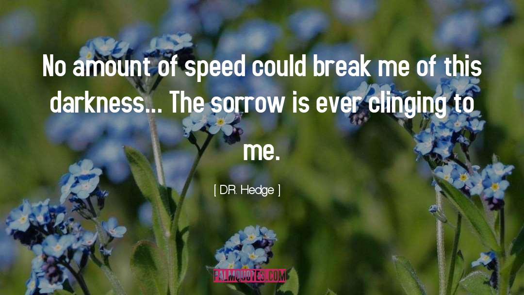 Surviving Depression quotes by D.R. Hedge