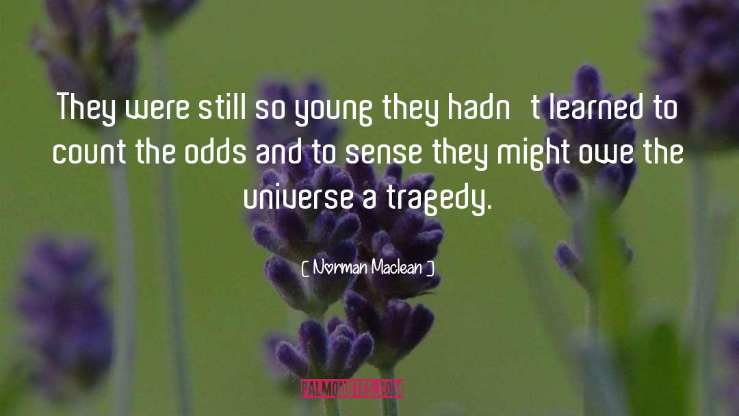 Surviving Tragedy quotes by Norman Maclean