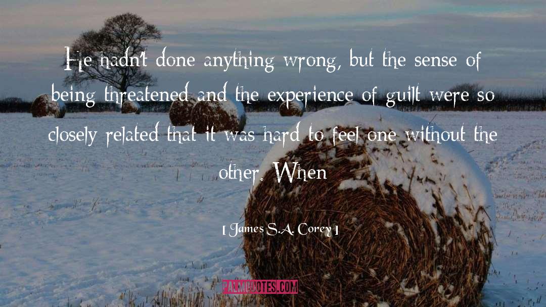 Survivor S Guilt quotes by James S.A. Corey