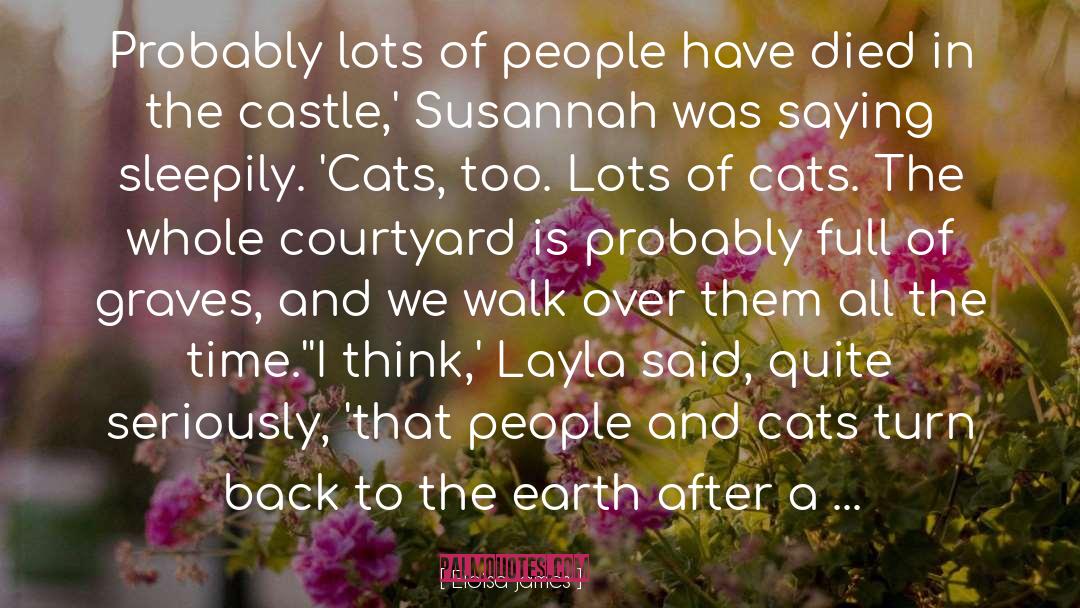 Susannah quotes by Eloisa James