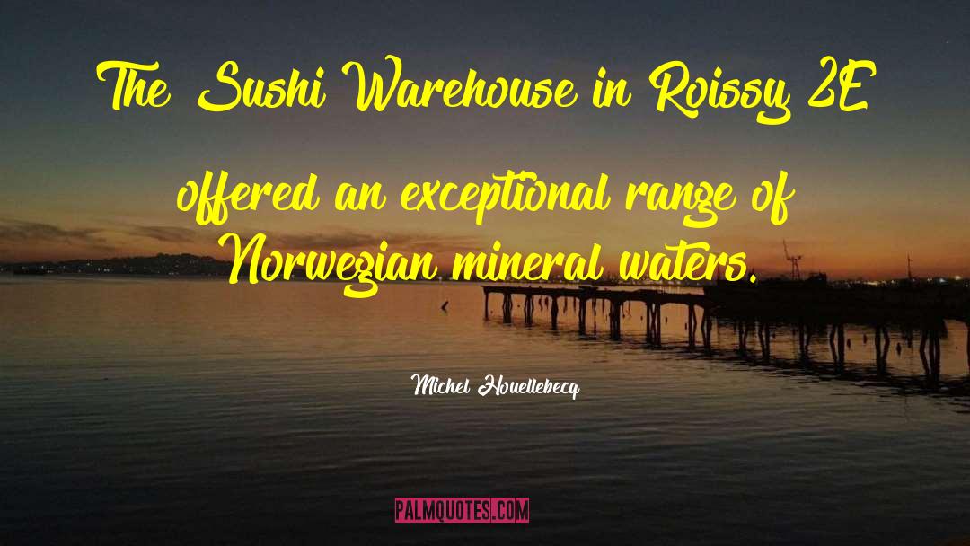 Sushi quotes by Michel Houellebecq