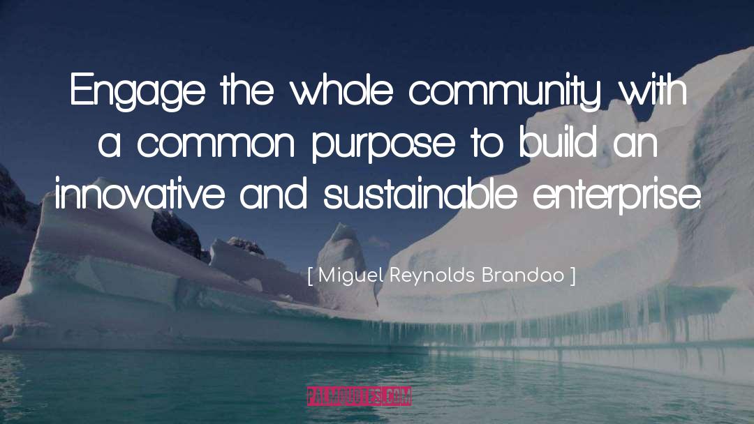Sustainability quotes by Miguel Reynolds Brandao