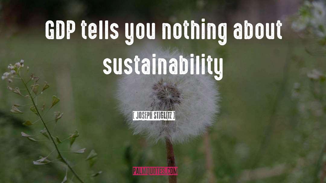 Sustainability quotes by Joseph Stiglitz