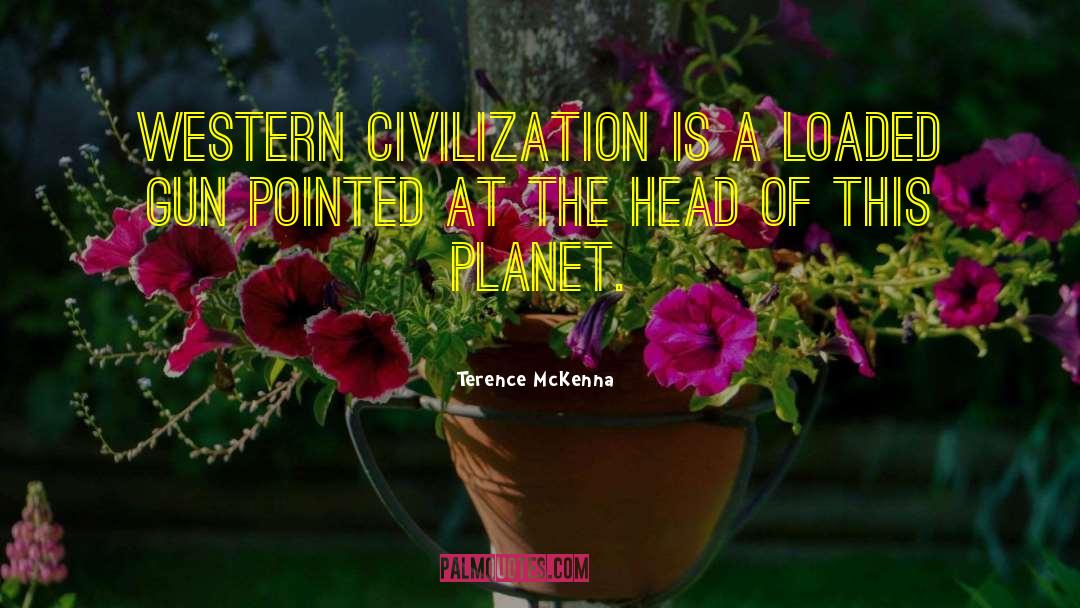 Sustainable Development quotes by Terence McKenna