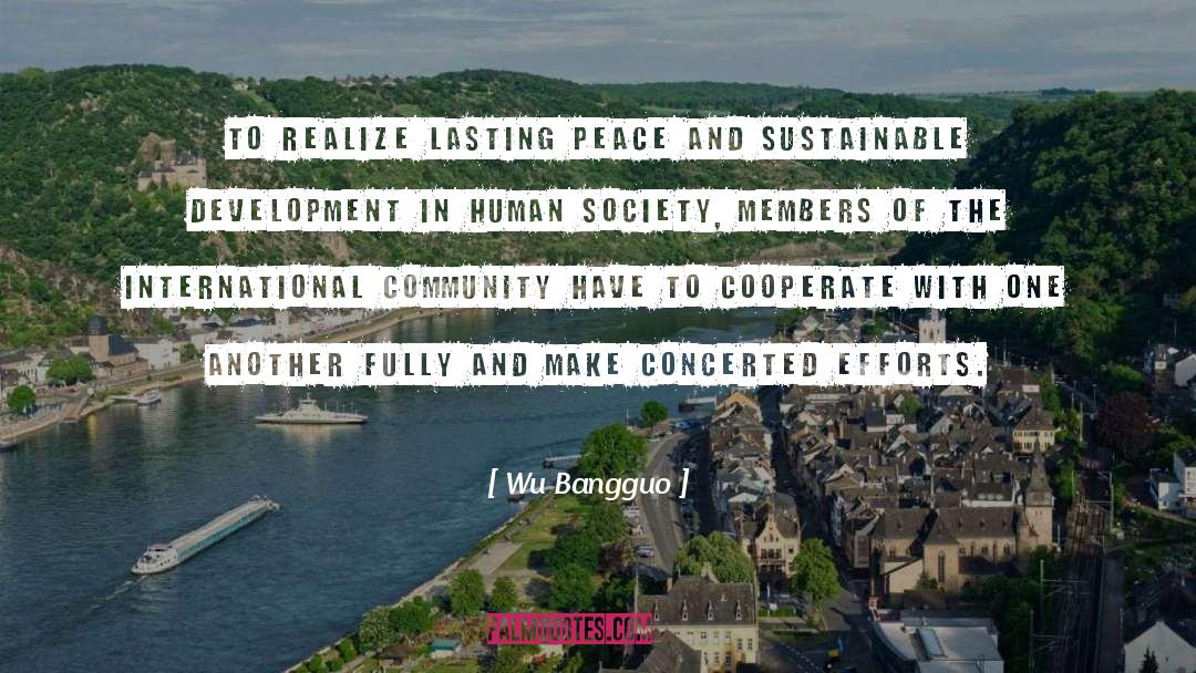 Sustainable Development quotes by Wu Bangguo