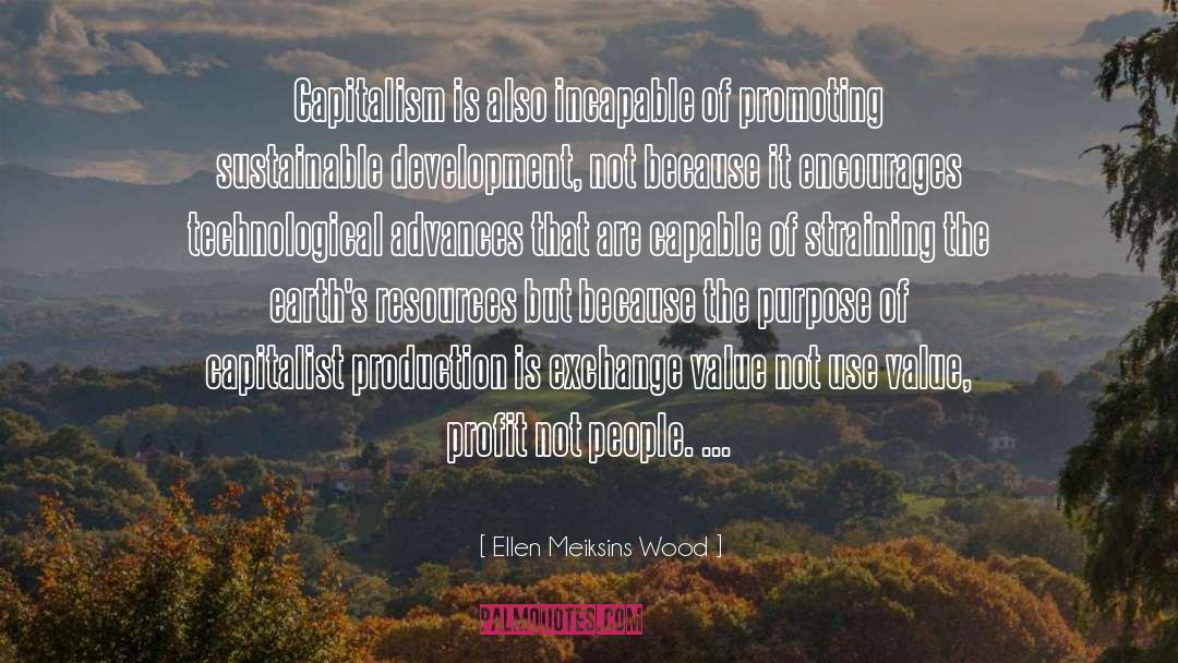 Sustainable Development quotes by Ellen Meiksins Wood