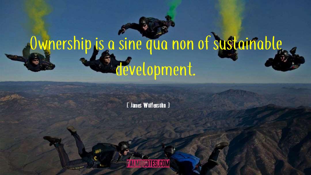 Sustainable Development quotes by James Wolfensohn