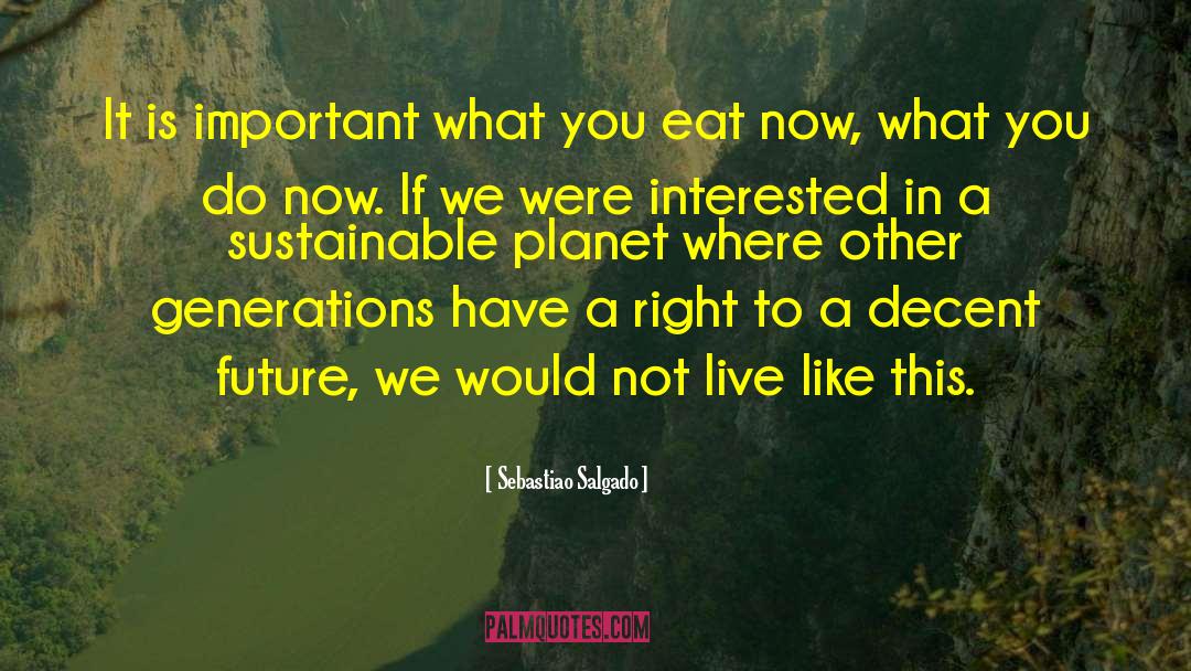 Sustainable quotes by Sebastiao Salgado