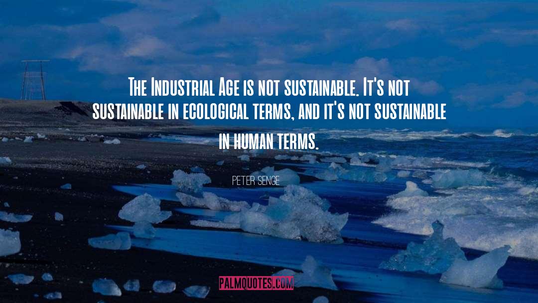 Sustainable Supply Chain quotes by Peter Senge