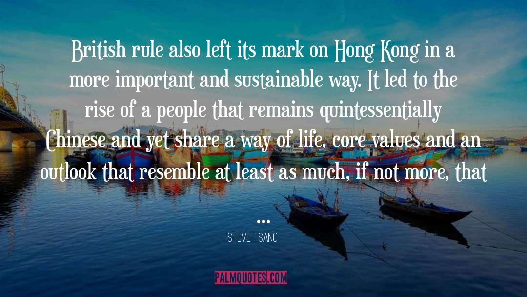 Sustainable Way quotes by Steve Tsang