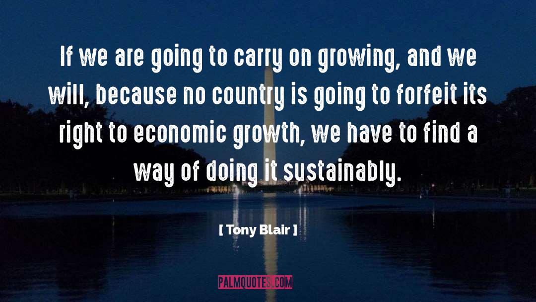 Sustainably quotes by Tony Blair