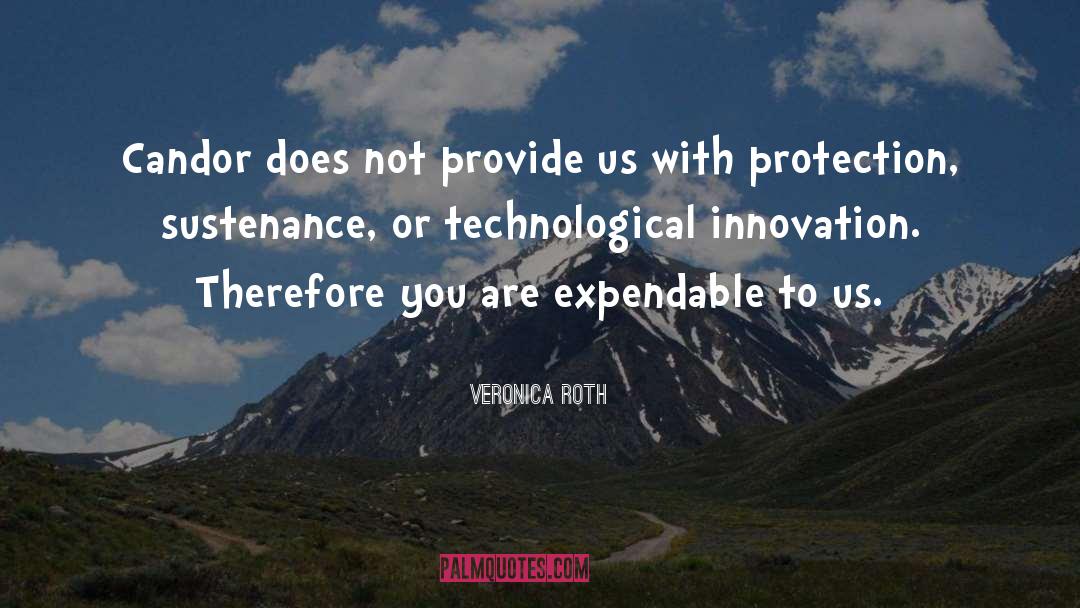 Sustenance quotes by Veronica Roth