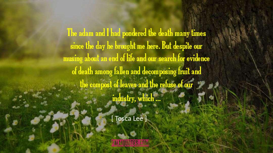 Sustenance quotes by Tosca Lee