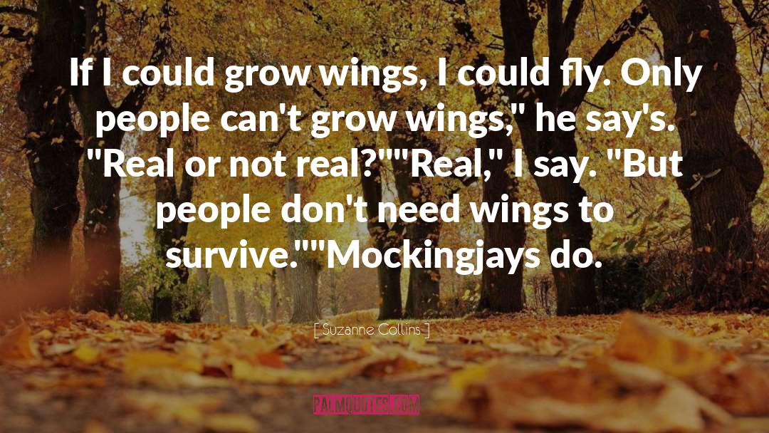 Suzanne Collins quotes by Suzanne Collins