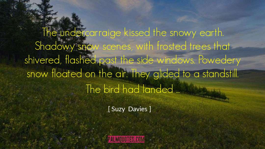 Suzy Davies quotes by Suzy  Davies