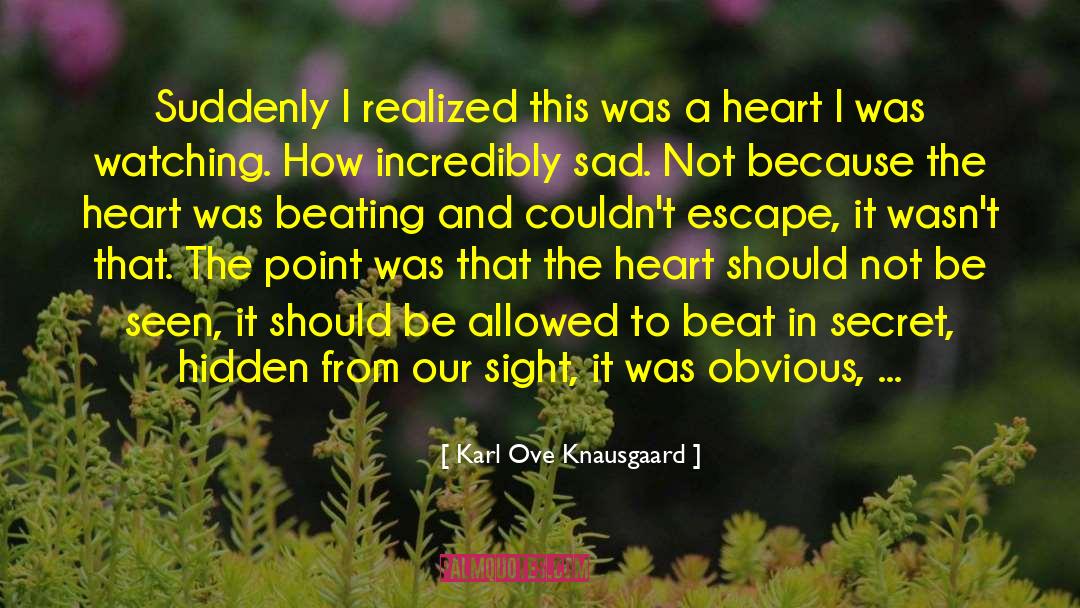 Sven Ove Hansson quotes by Karl Ove Knausgaard