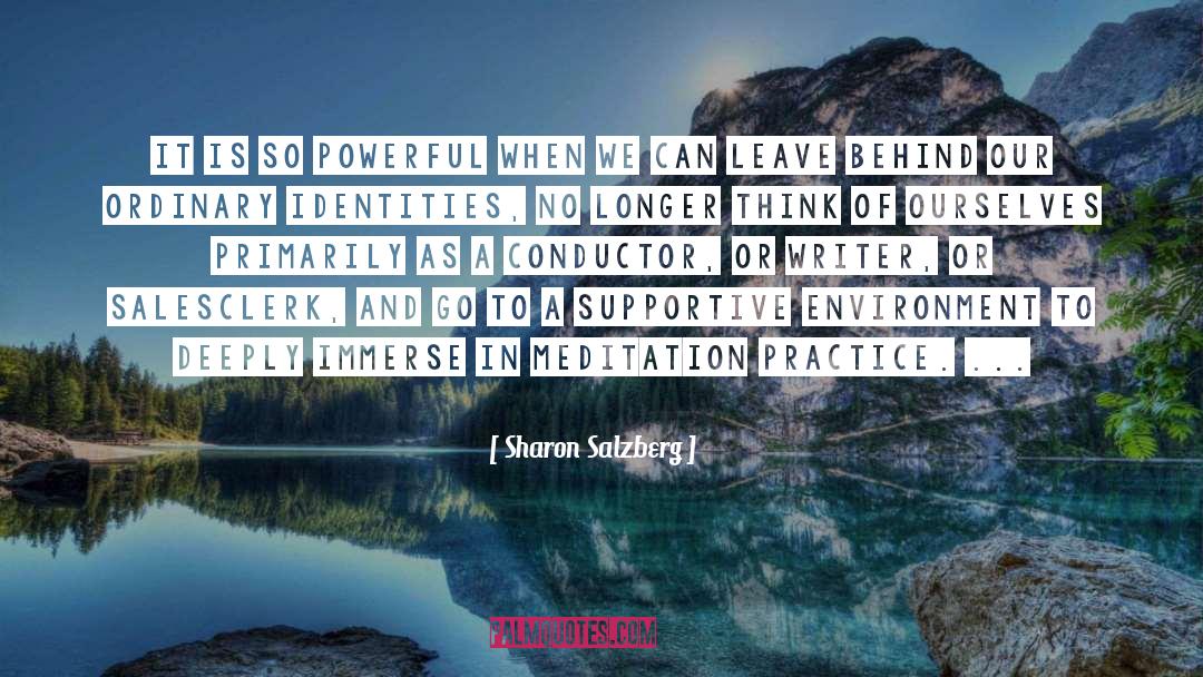 Svetlanov Conductor quotes by Sharon Salzberg