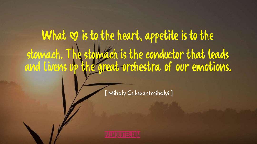 Svetlanov Conductor quotes by Mihaly Csikszentmihalyi