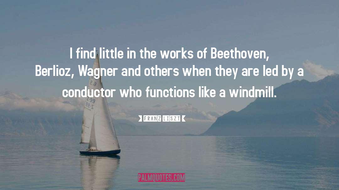 Svetlanov Conductor quotes by Franz Liszt