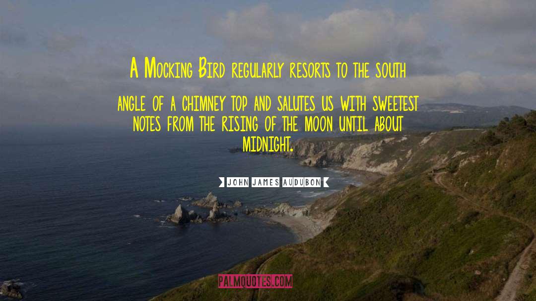 Sw South Wick quotes by John James Audubon