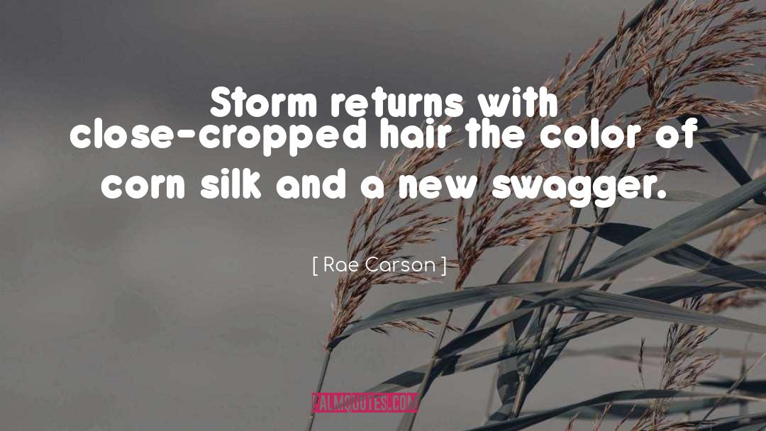 Swagger quotes by Rae Carson