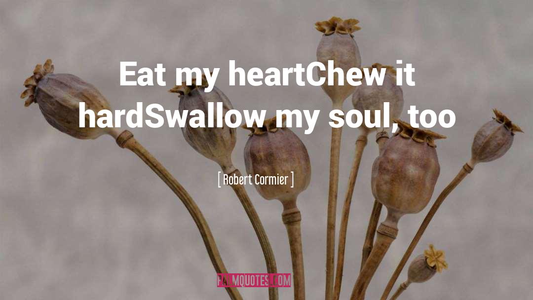 Swallow quotes by Robert Cormier
