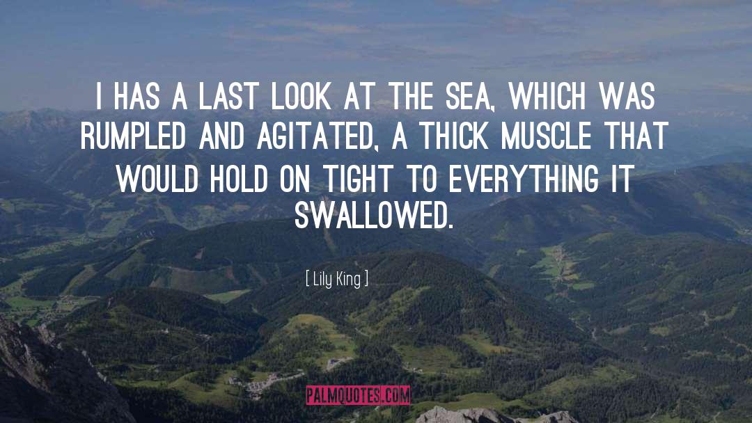 Swallowed quotes by Lily King