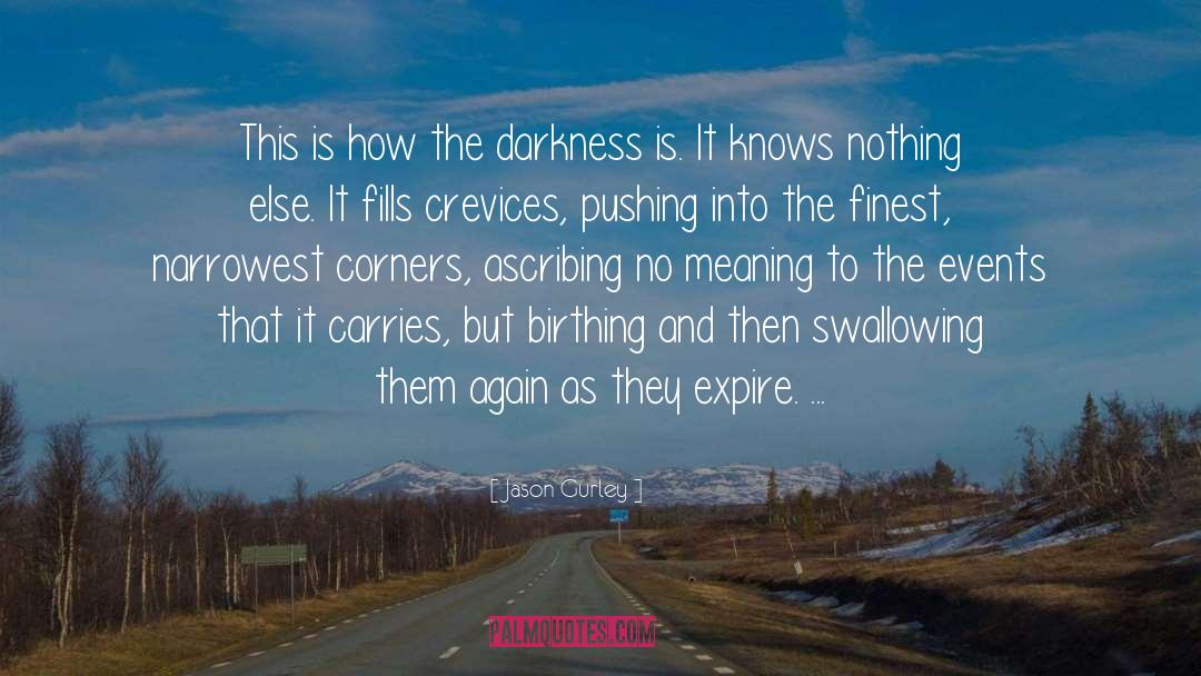 Swallowing Darkness Fay quotes by Jason Gurley