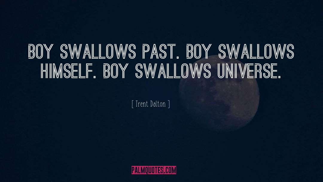 Swallows quotes by Trent Dalton