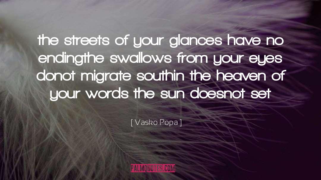 Swallows quotes by Vasko Popa