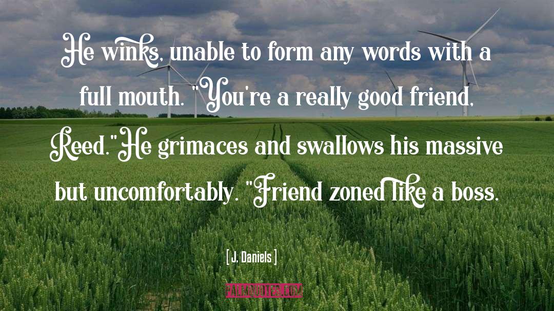 Swallows quotes by J. Daniels