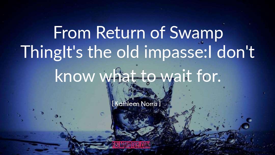 Swamp Noir quotes by Kathleen Norris