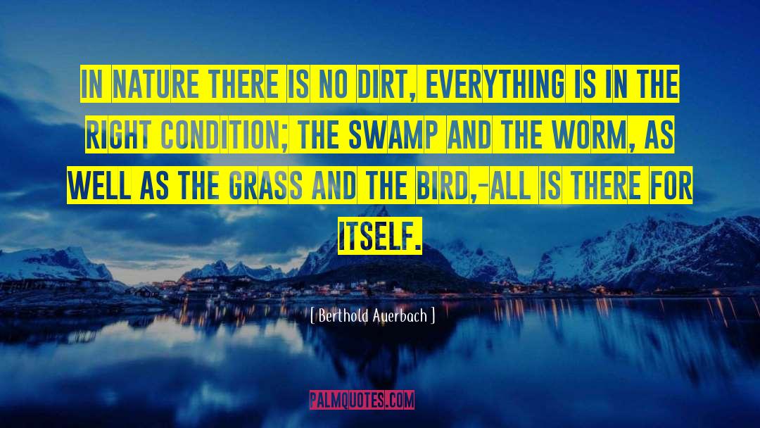 Swamp quotes by Berthold Auerbach