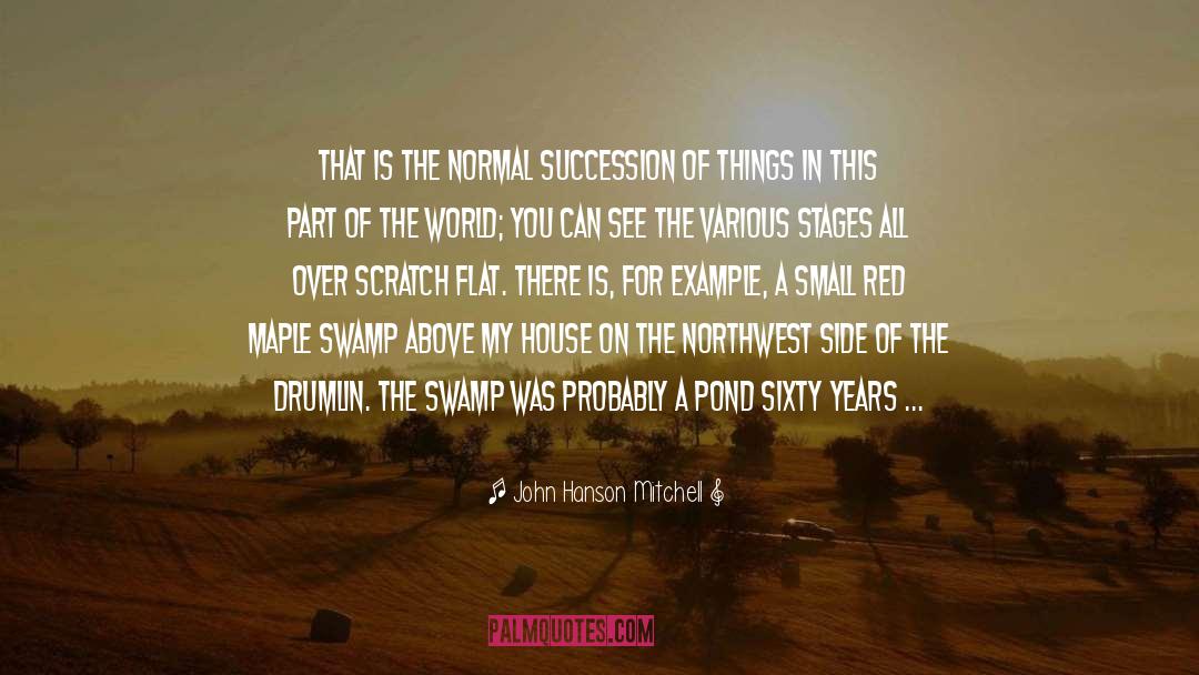 Swamp quotes by John Hanson Mitchell