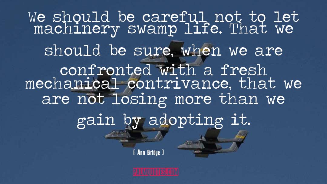 Swamp quotes by Ann Bridge