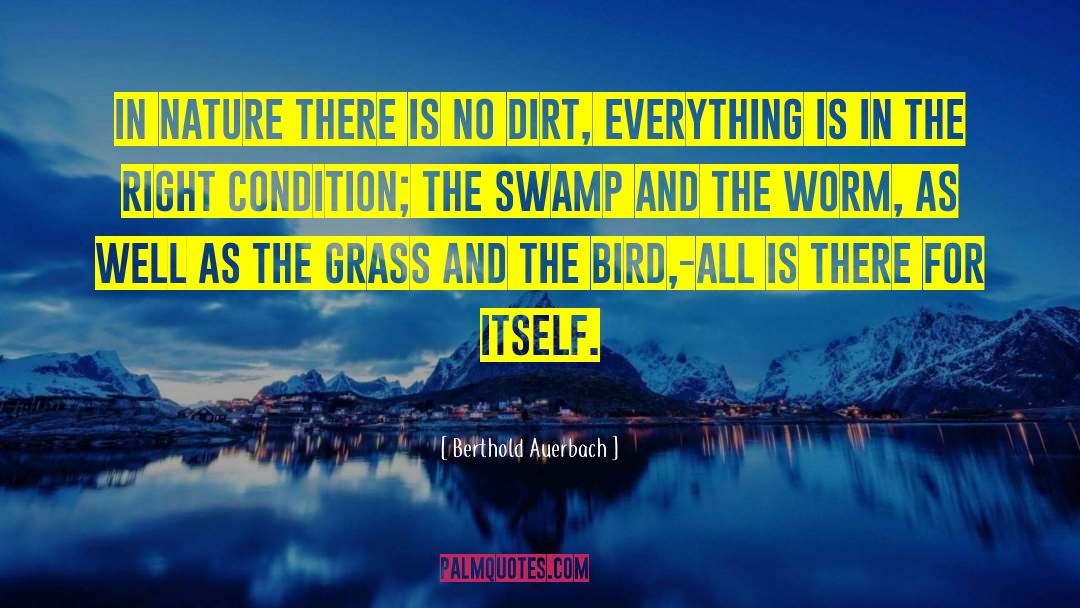 Swamps quotes by Berthold Auerbach