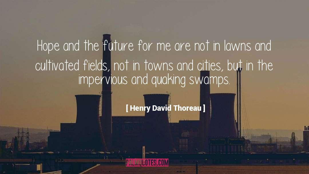 Swamps quotes by Henry David Thoreau