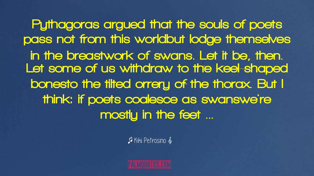 Swans quotes by Kiki Petrosino