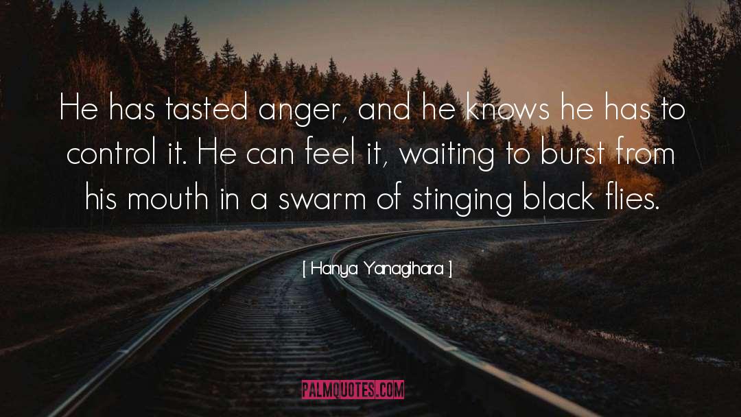 Swarm quotes by Hanya Yanagihara