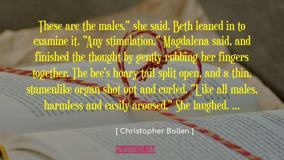 Swarmed By Bees quotes by Christopher Bollen