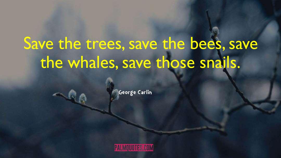 Swarming Bees quotes by George Carlin