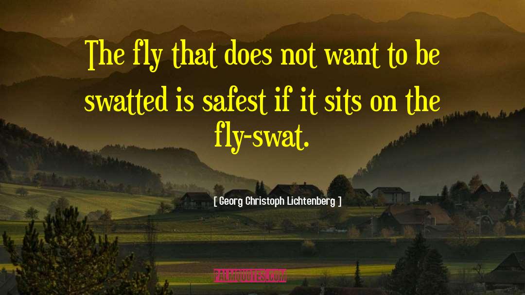 Swat quotes by Georg Christoph Lichtenberg