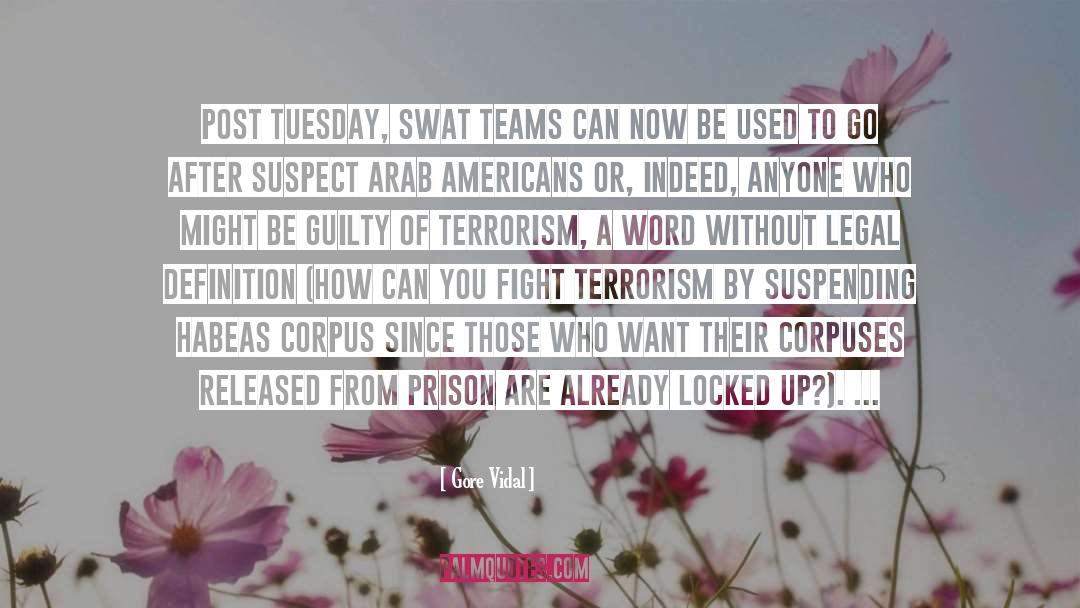 Swat quotes by Gore Vidal