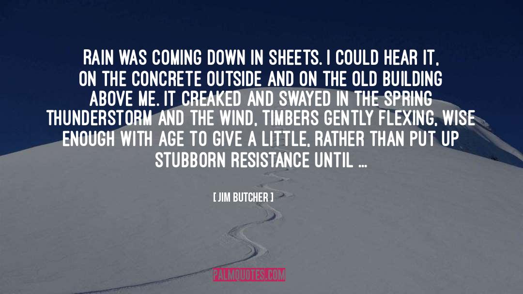 Swayed quotes by Jim Butcher