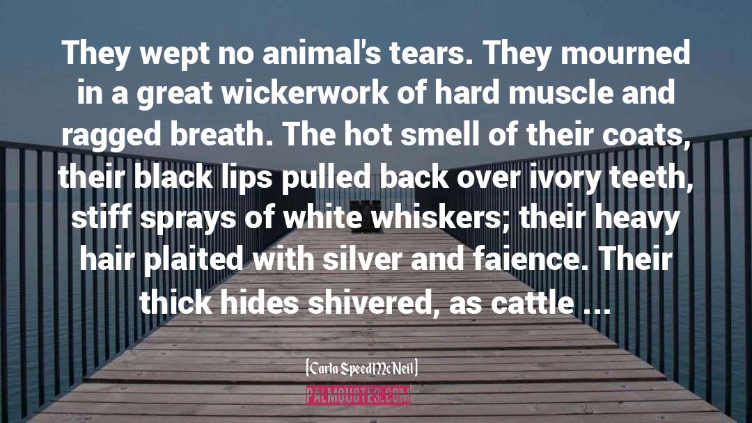 Sweat And Tears quotes by Carla Speed McNeil